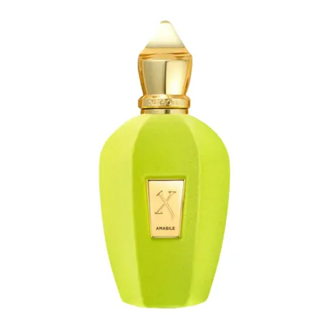 Xerjoff Xerjoff V Amabile Nat. Rot Eau de Parfum 100 ml