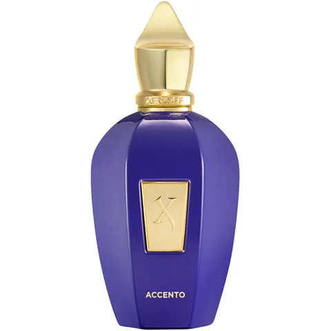 Xerjoff Xerjoff Vibe Accento Nat. transparent Eau de Parfum 100 ml