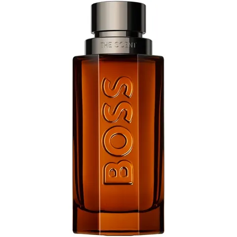 Hugo Boss Boss The Scent For Him Intense Nat. Braun Eau de Parfum 100 ml